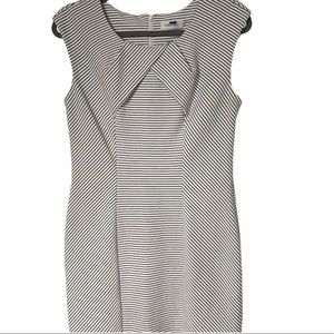 Calvin Klein Black and White Stripe Knit Sheath Dress 8